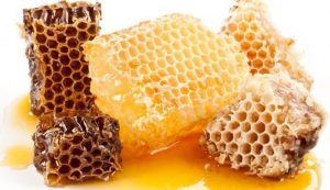 madu asli lebah